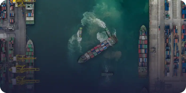 Harbor Movement